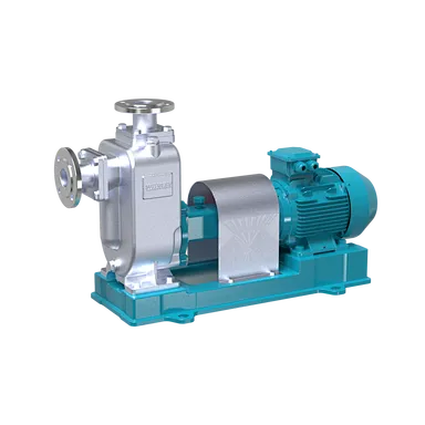 rv sewage pump​